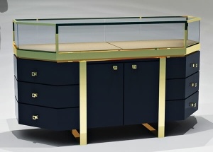 buy jewelry display case