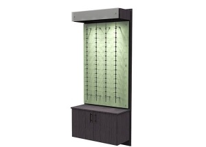 wall mounted sunglasses display