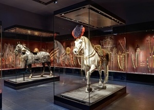 display cases for collectibles